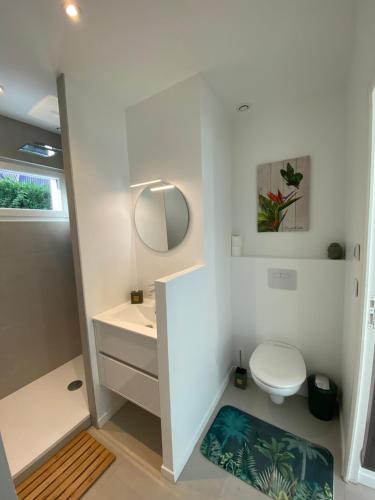 y baño con aseo, lavabo y espejo. en Villa entourée de verdure avec parking privé, en Halluin