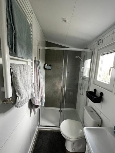 a bathroom with a shower and a toilet and a sink at Polderhuisje 1 - Heerlijk chalet dichtbij strand en duin - 2 slaapkamers - Midicamping Van der Burgh - Rockanje in Rockanje