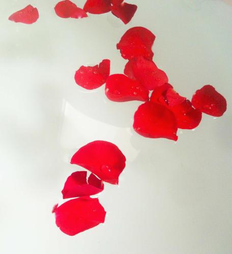 a group of red flowers on a white table at Merida Santiago Hotel Boutique in Mérida