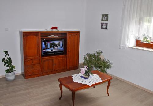 - un salon avec une télévision et une table basse dans l'établissement Apartment Baban in Žaga, Slovenia, à Žaga