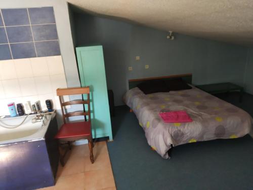 ein Schlafzimmer mit einem Bett, einem Waschbecken und einem Stuhl in der Unterkunft ferme du sapin in Daillancourt