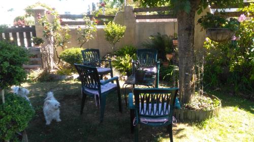 a group of chairs and a dog in a yard at petit chez soi dans mon petit chez moi in Biganos