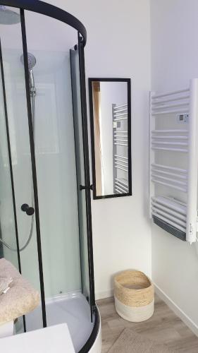 une salle de bain avec douche et miroir dans l'établissement Le cottage de Lily, à Bonnemain