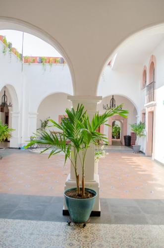 a plant in a pot in the middle of a building at Hotel Catedral in Cuernavaca