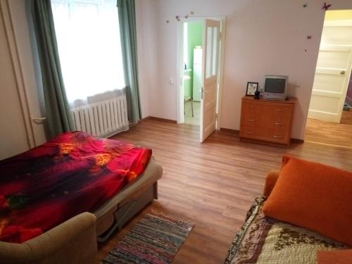 ein Wohnzimmer mit einem Bett und einem Sofa in der Unterkunft Viestura apartamenti in Daugavpils