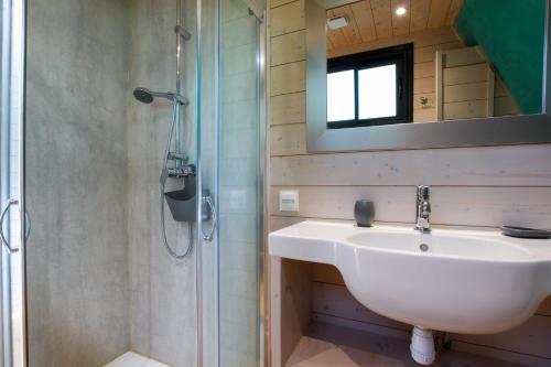 een badkamer met een wastafel en een douche bij Maison flottante - Houseboat - Baurech Insolite in Baurech
