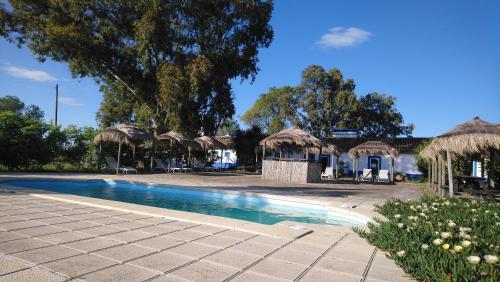 a swimming pool with umbrellas and a house at Lodge Monte Do Sobral in Alcáçovas