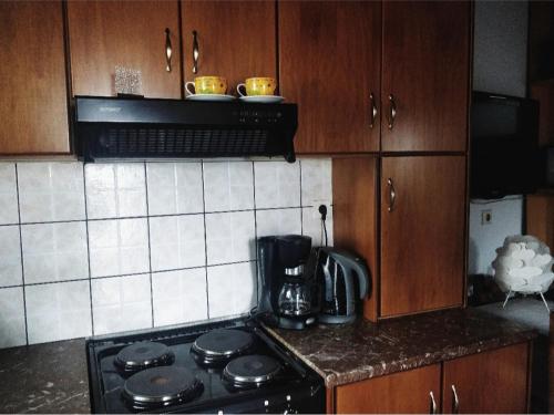 約阿尼納的住宿－The Traditional Greek House，厨房配有炉灶烤箱和木制橱柜。