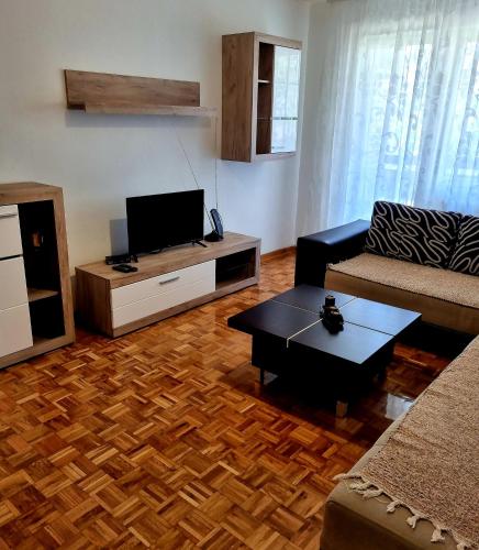 een woonkamer met een bank en een tv bij Stan na dan Ilvento in Vršac