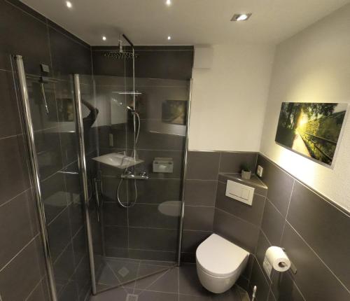 ein Bad mit einer Duschkabine und einem WC in der Unterkunft Ferienwohnung Familie Boemer in Alf