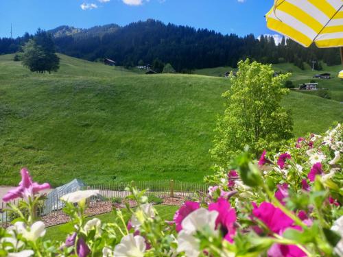 a green field with pink flowers and an umbrella at Haus Berg & Tal in Hirschegg