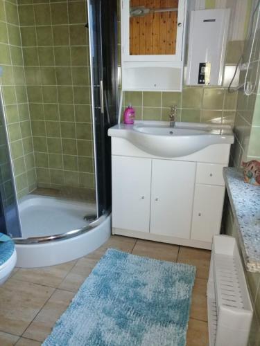 a bathroom with a sink and a shower and a sink at Spatzennest in Garz-Rügen