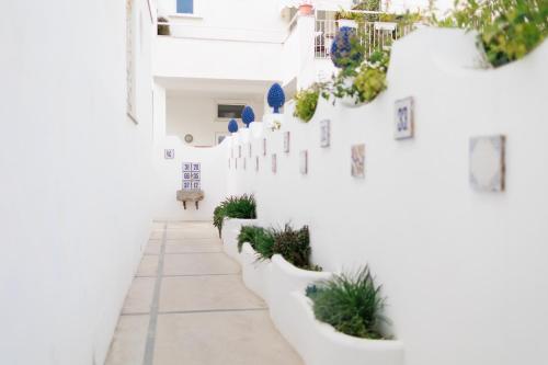 Foto dalla galleria di La Pigna Blu ad Anacapri