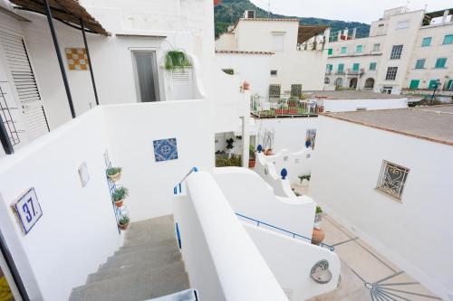 La Pigna Blu – Photos 5