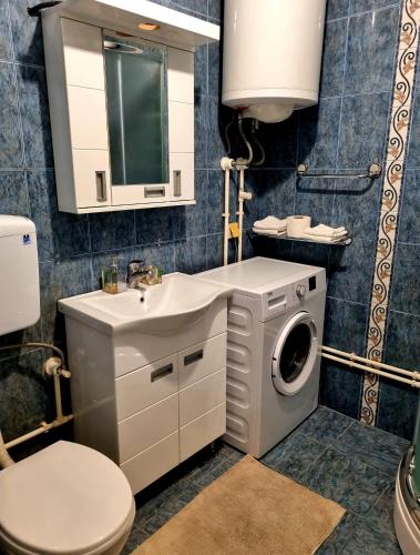 een badkamer met een wasmachine en een wastafel bij Stan na dan Ilvento in Vršac
