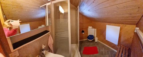 Ванная комната в Wettermatte