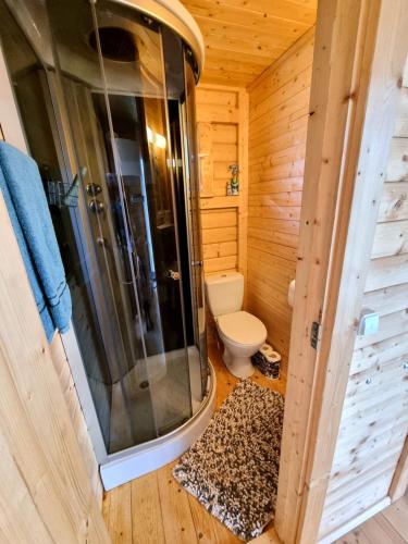 a bathroom with a shower and a toilet in a cabin at Piejūras namiņš in Kolka