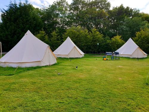 un groupe de tentes dans un champ arboré dans l'établissement Glamping in the Kent weald nr Tenterden Spacious quite site up to 6 equipped tents, each group has their own facilities Tranquil and beautiful rural location yet just an hour to London, à Tenterden