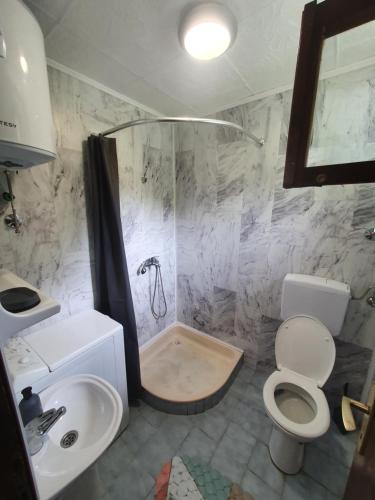 een badkamer met een douche, een toilet en een wastafel bij Vikendica Nina in Čanj