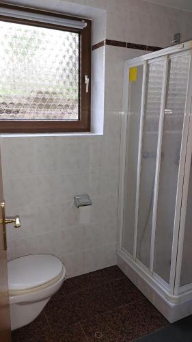 a bathroom with a shower and a toilet and a window at Gemütliche Einliegerwohnung ohne Küche in Hösbach-Rottenberg in Hösbach