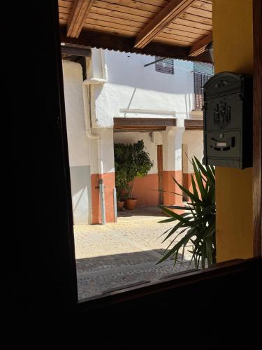 a view of a courtyard from a window of a building at Arco del Tinte 10 in Guadalupe