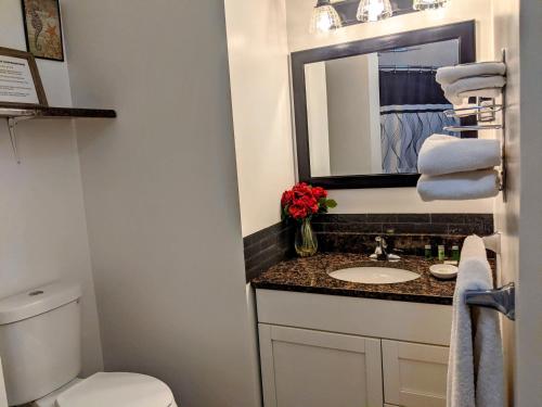 a bathroom with a sink and a toilet and a mirror at Skyview Motel - Prairie du Sac in Prairie du Sac