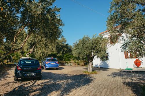 two cars parked in a driveway next to a house at Βίλλα Φανούλα Villa Fanoula in Chorto