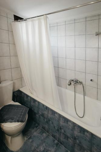 a bathroom with a toilet and a shower with a shower curtain at Βίλλα Φανούλα Villa Fanoula in Chorto