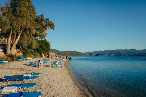 a beach with lounge chairs and the water at Βίλλα Φανούλα Villa Fanoula in Chorto