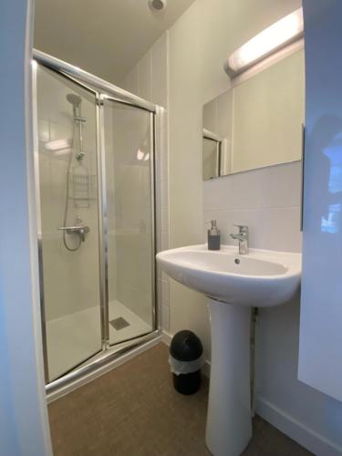 une salle de bain blanche avec un lavabo et une douche dans l'établissement École 102, à La Flèche