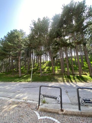 Gallery image of Appartamento a Pescocostanzo in Pescocostanzo