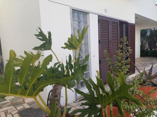 Gallery image of ELEVEN -A- SUITE tipo T1 in Mértola