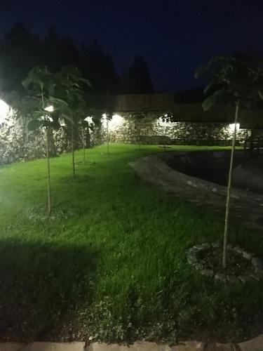 a park at night with lights in the grass at Vila Nika in Veles