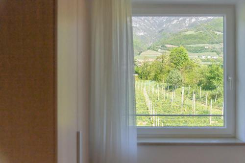a window with a view of a vineyard at Sandhof Ferienwohnungen in Termeno