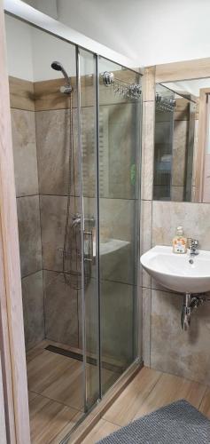 a bathroom with a shower and a sink at Noclegi Silesia ASTER in Tychy