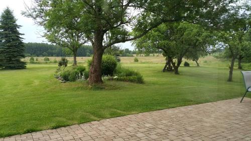 a lawn with a tree and a chair in a field at Stawy Karłowo in Karłowo