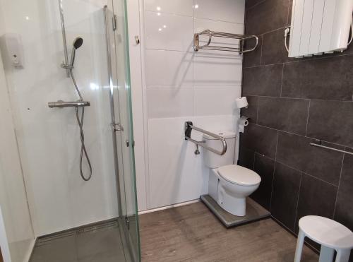 ein Bad mit einer Dusche und einem WC in der Unterkunft AlojaDonosti City Center in San Sebastián