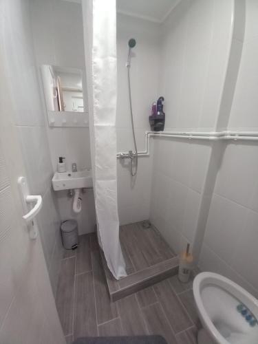 y baño con ducha, aseo y lavamanos. en Apartment Capital Town Novi Sad, en Novi Sad