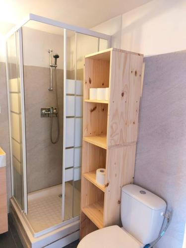 une salle de bain avec douche et toilettes et une douche dans l'établissement Superbe studio plein cœur de ville, à Perpignan
