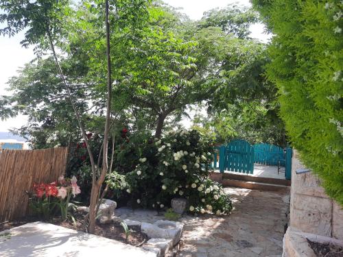 a garden with a tree and some chairs and flowers at Mandala in Mount מנדלה בחרמון סוויטה in Majdal Shams
