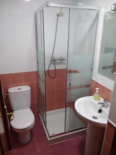 a bathroom with a shower and a toilet and a sink at Keymar in San Miguel de Meruelo