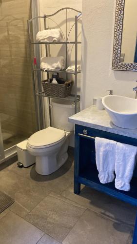 a bathroom with a toilet and a sink at Loft en Centro de Val'Quirico Volterra hotel in Santeagueda