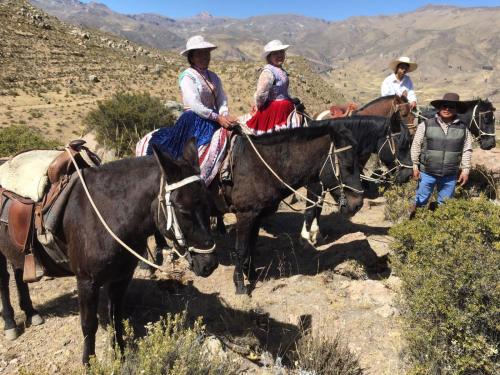 a group of people riding on the backs of horses at Casa vivencial Yuraq Qaqa in Coporaque