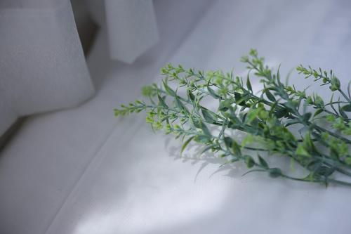 a green plant sitting on a white table at Hotel Actel Nagoya Nishiki in Nagoya