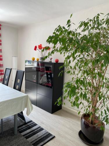 a dining room with a table and a potted plant at Svarovsky in Bad Ischl