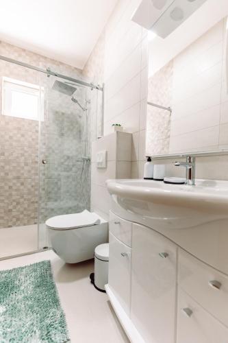 a bathroom with a sink and a toilet and a shower at Waterfront Apartment Petrovina in Kotor
