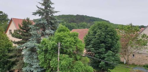 a group of trees in front of a house at Ferienwohnung im Herzen von Thüringen in Blankenhain