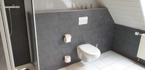 a bathroom with a toilet and a shower at Ferienwohnung im Herzen von Thüringen in Blankenhain