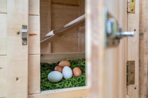 Gambar di galeri bagi Rotsteinhof Ferienwohnung Abendrot di Verano