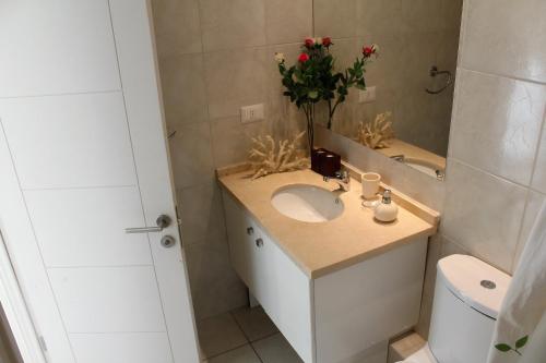 a bathroom with a sink and a toilet and a mirror at Departamento Esmeralda Pingueral in Dichato